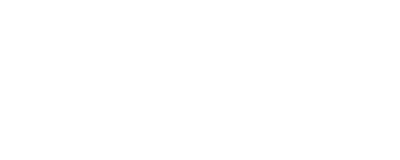 WISE ANALYTICS